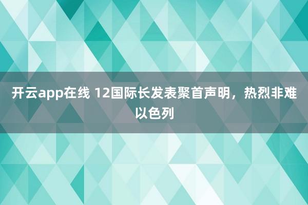 开云app在线 12国际长发表聚首声明，热烈非难以色列