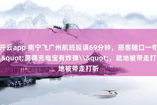开云app 南宁飞广州航班延误69分钟，搭客随口一句\"莫得充电宝有炸弹\"，<a href=