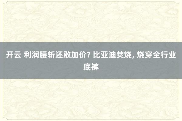 开云 利润腰斩还敢加价? 比亚迪焚烧， 烧穿全行业底裤