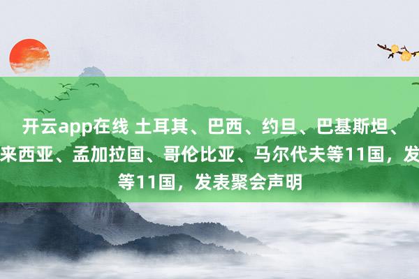 开云app在线 土耳其、巴西、约旦、巴基斯坦、西班牙、马来西亚、孟加拉国、哥伦比亚、马尔代夫等11国，发表聚会声明