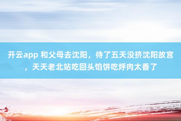开云app 和父母去沈阳，待了五天没挤沈阳故宫，天天老北站吃回头馅饼吃烀肉太香了
