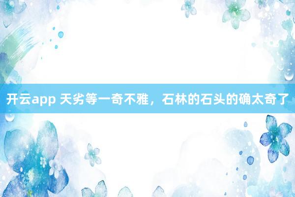 开云app 天劣等一奇不雅，石林的石头的确太奇了