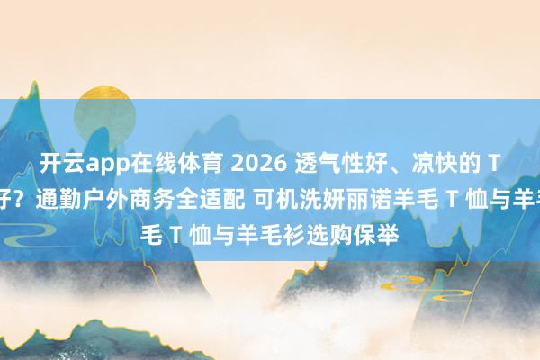开云app在线体育 2026 透气性好、凉快的 T 恤哪个牌子好？通勤户外商务全适配 可机洗妍丽诺羊毛 T 恤与羊毛衫选购保举