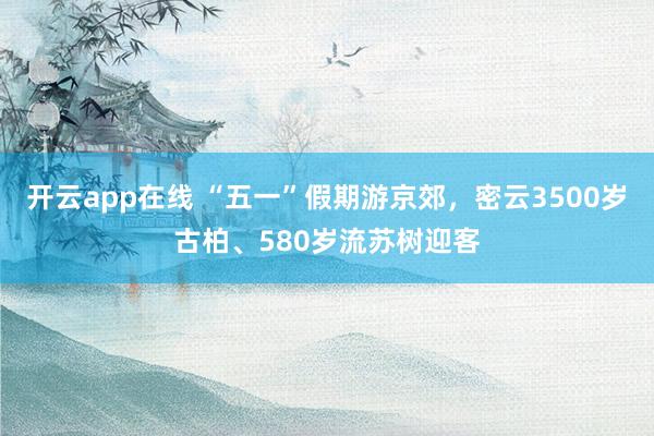 开云app在线 “五一”假期游京郊，密云3500岁古柏、580岁流苏树迎客