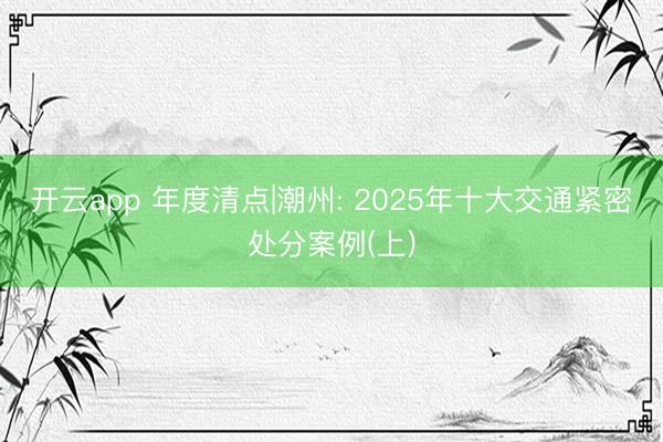 开云app 年度清点|潮州: 2025年十大交通紧密处分案例(上)